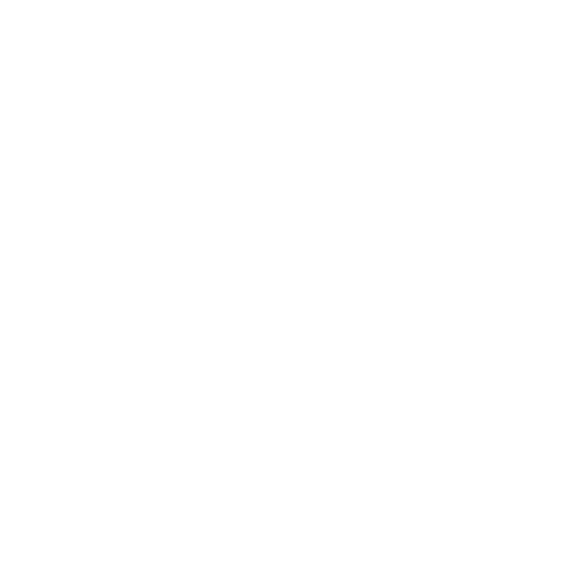 grafika-lewa-firma-w-czechach